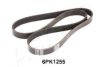 ASHIKA 112-6PK1255 V-Ribbed Belts